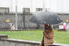 ������ ���� � ���������� ��������� � ������