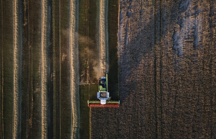 Пошлина на экспорт пшеницы из РФ с 8 апреля снижена на 21%, до 561,5 руб./т