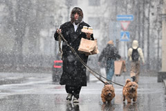 Мокрый снег и гололедица прогнозируются в Москве до конца пятницы