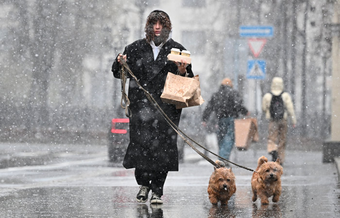 Мокрый снег и гололедица прогнозируются в Москве до конца пятницы