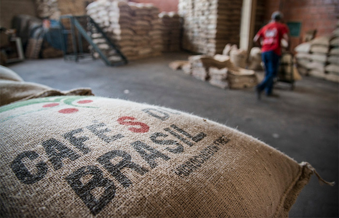 Урожай кофе в Бразилии в следующем сельхозгоду достигнет рекорда