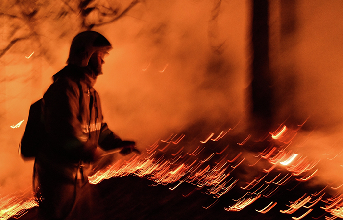 Площадь лесных пожаров в РФ в 2026 г. выросла в 1,3 раза, их число снизилось вдвое