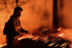 ������� ������ ������� � �� � 2026 �. ������� � 1,3 ����, �� ����� ��������� �����