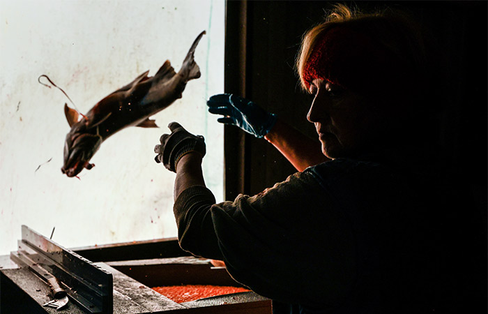 Вылов лососей в РФ 2026 году может снизиться на треть