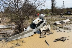 � ��������� �������� ������������� 117 �����