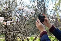 Температура в Москве вернется к нормальным значениям апреля в выходные
