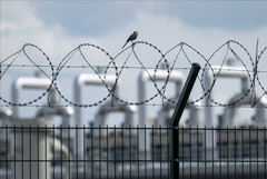 �������� ������ ������ ������������ ������� ������������� "��������"