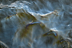 ����� ����� ���� �� ������ � ������ ���� ����������� ������ ��������������