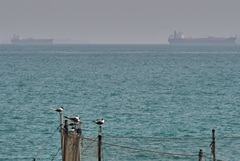 Только 16 судов прошли в понедельник через Ормузский пролив