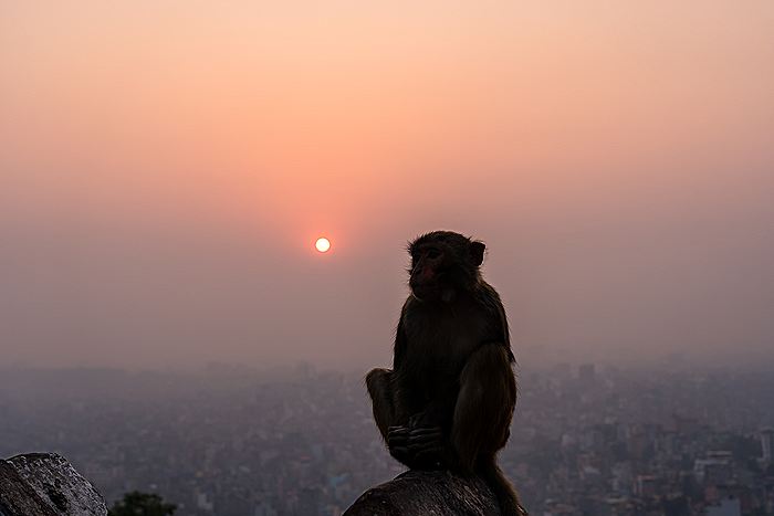 Ученые зафиксировали двойной крупный выброс протуберанцев на Солнце