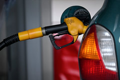 ��� �������, ��� ���� ��� �� ��� �� ��������� ��������