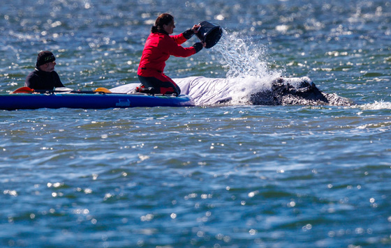 Фотохроника 24 апреля