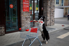 Банк России сохранил прогноз по инфляции на 2026 год в диапазоне 4,5-5,5%