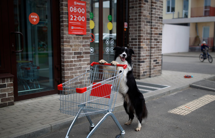 Банк России сохранил прогноз по инфляции на 2026 год в диапазоне 4,5-5,5%