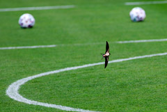 �������� ��������� ����� �� ���������� � ���