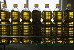 Пошлина на экспорт подсолнечного масла из РФ в мае снизится в 3,5 раза