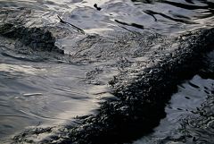 ����� 1 ���. ���������� �������������� ������ �� ���� � � ��������� ������