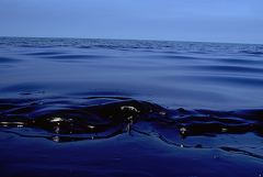 Более 2,5 тыс. кубометров нефтепродуктов убрали из реки и с побережья Туапсе