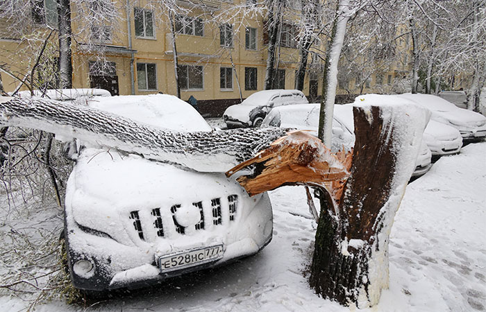 В московском регионе объявили оранжевый уровень погодной опасности