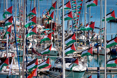 ������� ������� � �������� ������ ���������� "���������� �������� �����" �� �������� ������ � ������ ����