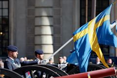 Швеция ужесточила требования для получения гражданства