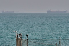 ��� ���������� ����� ������������� �������� ��� ������� ����������� � ������