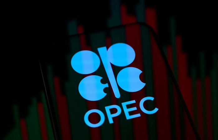 Семь стран ОПЕК+ приняли решение увеличить квоты по добыче нефти в июне на 188 тыс. б/с