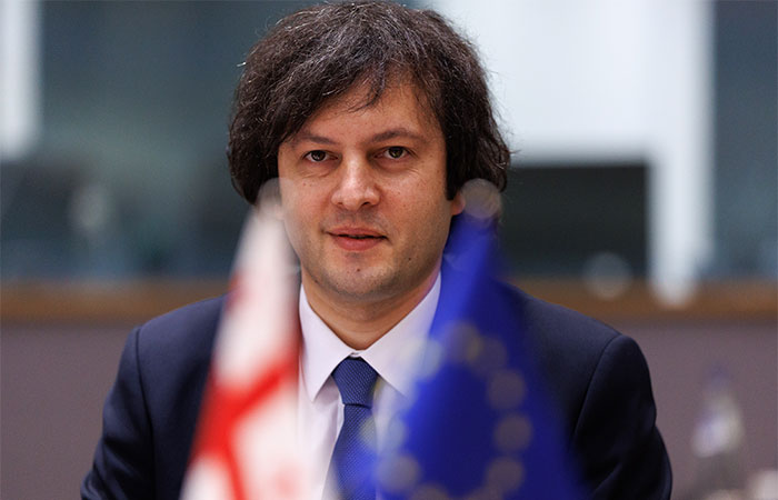 Премьер Грузии обвинил Европарламент в желании посеять хаос в республике
