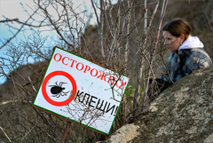 В Роспотребнадзоре уточнили, что эндемичны по энцефалиту отдельные территории, а не регионы