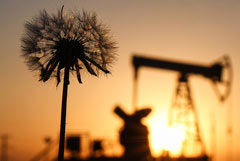 Brent ���������� �� $98,06 �� �������