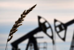 ���� ����� Brent �������� �� $91,84 �� �������