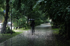 Рекордное количество осадков выпало на востоке Москвы