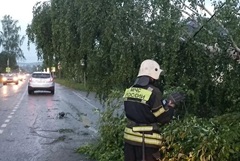 Число пострадавших после урагана в свердловской Кушве достигло до 15 человек