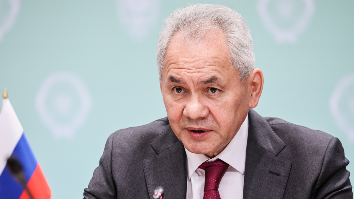 Шойгу заявил о необходимости создать на площадке БРИКС механизмы реагирования на ЧС