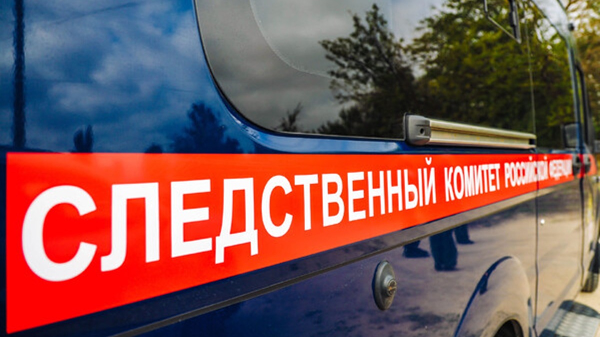 ФСБ и СК задержали несовершеннолетнего лидера террористического сообщества