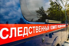 ФСБ и СК задержали несовершеннолетнего лидера террористического сообщества