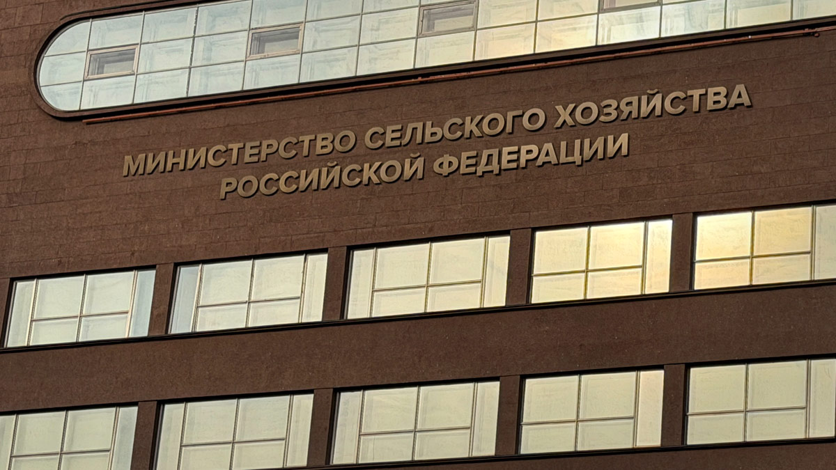 Минсельхоз не ждет влияния ситуации на Азовском море на обеспеченность продовольствием в РФ
