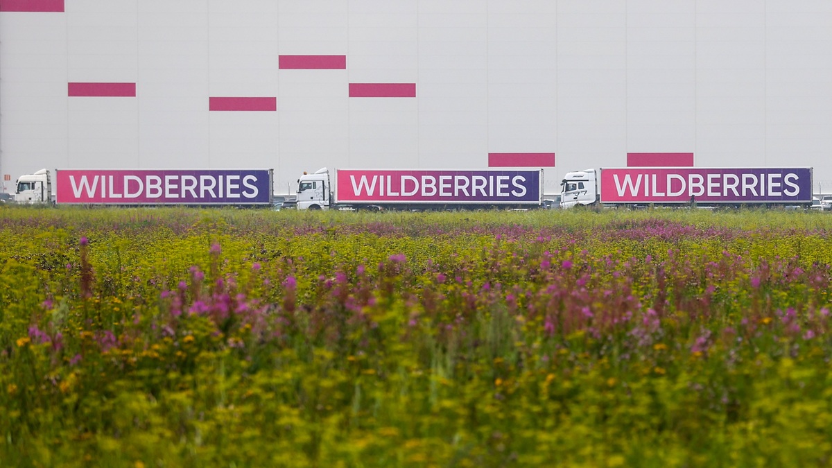 На складе Wildberries в Котовске пострадали 25 человек
