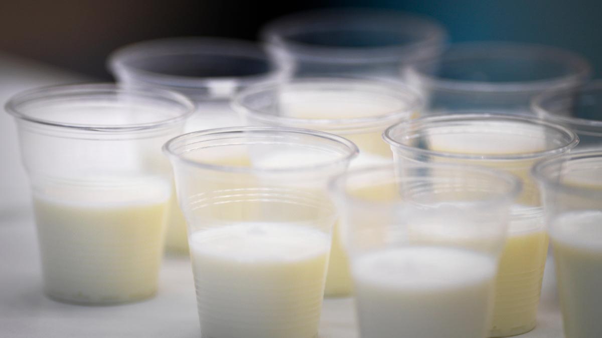 Россельхознадзор с 27 июля ограничивает поставки молочной продукции из Армении