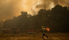 Во Франции задержали более 400 поджигателей лесов