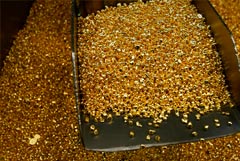 ФСБ раскрыла производство кустарного золота и серебра в Свердловской области