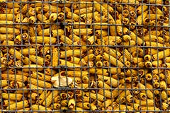 Цены на кукурузу и пшеницу на Чикагской бирже обновили трехлетние максимумы