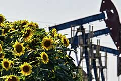 Brent подешевела до $86,71 за баррель