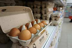 Минсельхоз объяснил подорожание яиц выравниванием цен после долгого снижения
