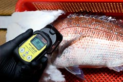 Уровень радионуклидов в Японском море остается в норме после сбросов с АЭС "Фукусима-1"