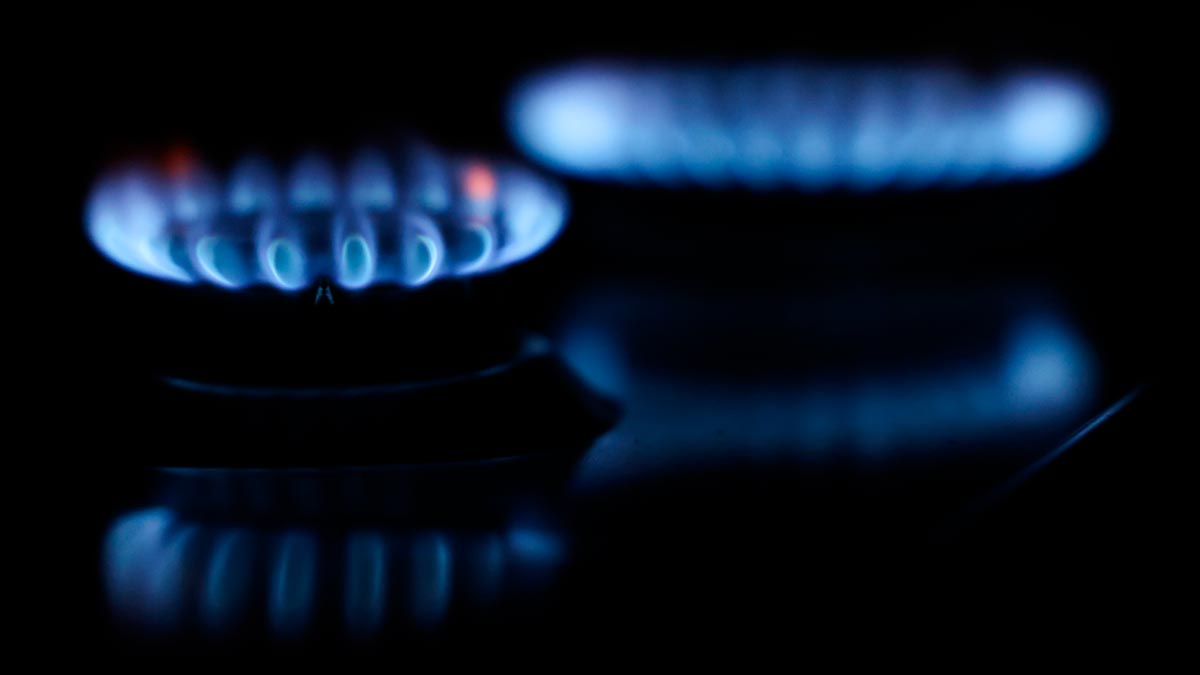 Договор на поставку российского газа в Сербию продлен до конца года