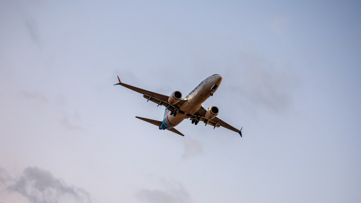Пилот Flydubai при захвате самолета напал на командира с аварийным топором