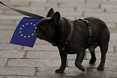ЕС ввел санкции против поставщиков компонентов для производства в РФ ракет, дронов и самолетов
