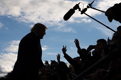 Трамп заявил, что Путин и Зеленский поддерживают идею энергетического перемирия