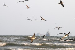 На этой неделе в районе Ормузского пролива зафиксировано не менее 12 атак на суда